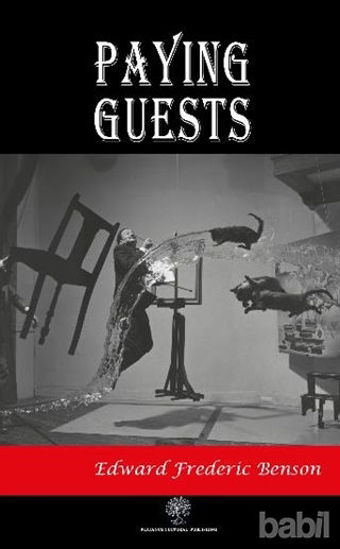 Picture of Paying Guests