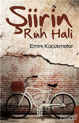 Picture of Şiirin Ruh Hali