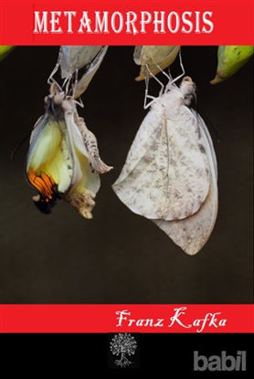 Picture of Metamorphosis