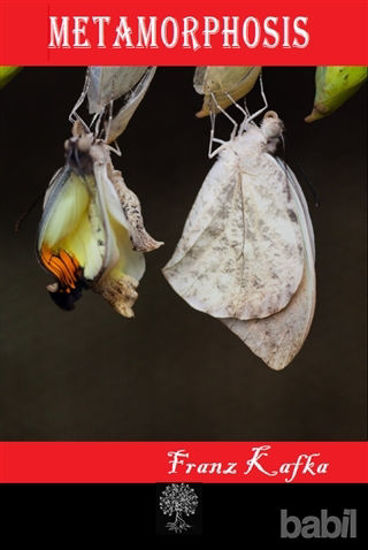 Picture of Metamorphosis