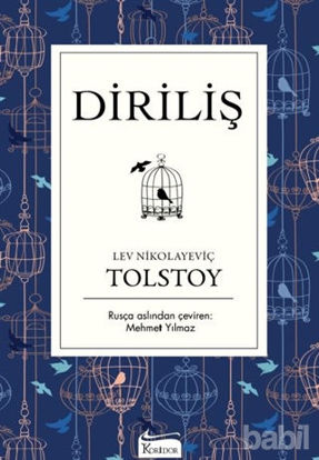 Picture of Diriliş