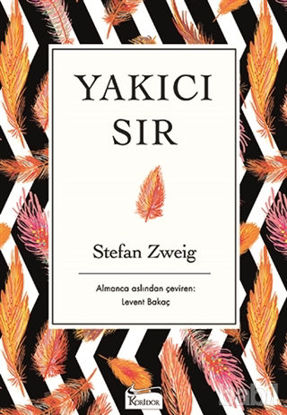 Picture of Yakıcı Sır