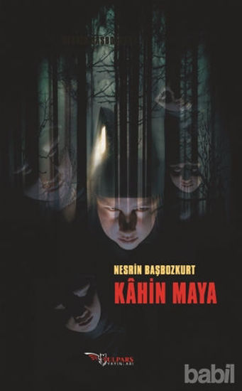 Picture of Kahin Mahya