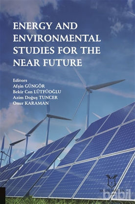 Picture of Energy and Environmental Studies for the Near Future