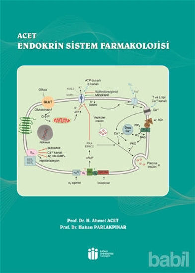 Picture of ACET Endokrin Sistem Farmakolojisi
