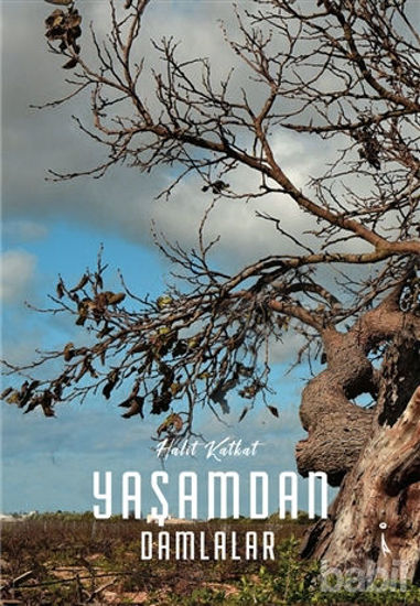 Picture of Yaşamdan Damlalar