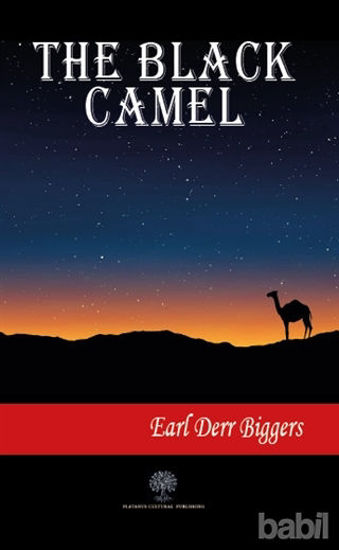 Picture of The Black Camel