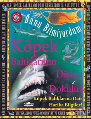 Picture of Köpek Balıklarının Dişleri Dökülür - Bunu Bilmiyordum