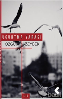 Picture of Uçurtma Yarası