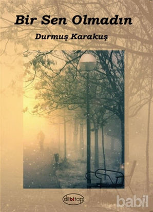 Picture of Bir Sen Olmadın