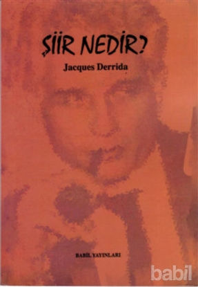 Picture of Şiir Nedir?