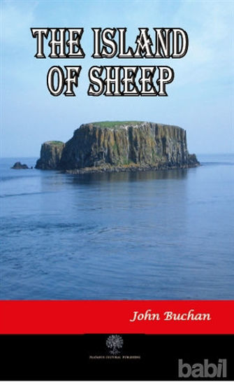 Picture of The Island of Sheep