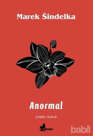 Picture of Anormal
