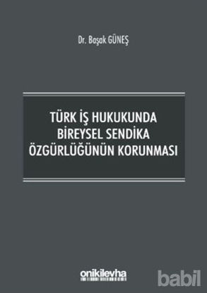 Picture of Türk İş Hukukunda Bireysel Sendika Özgürlüğünün Korunması