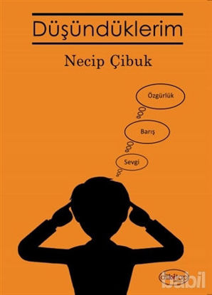 Picture of Düşündüklerim