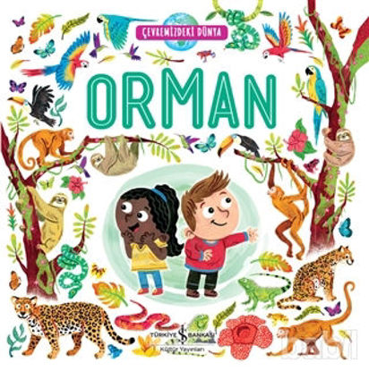 Picture of Orman - Çevremizdeki Dünya