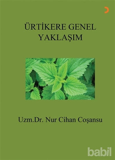 Picture of Ürtikere Genel Yaklaşım