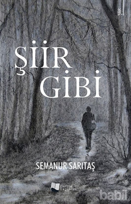 Picture of Şiir Gibi