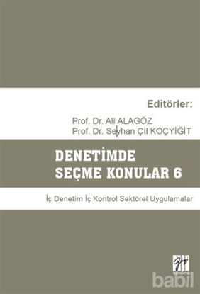 Picture of Denetimde Seçme Konular 6