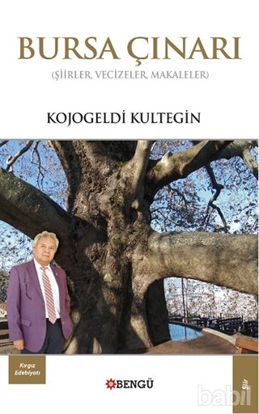 Picture of Bursa Çınarı