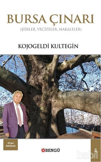 Picture of Bursa Çınarı