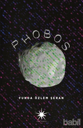 Picture of Phobos